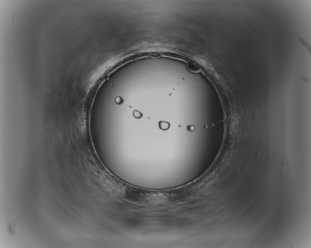 X0000102471167200808081243