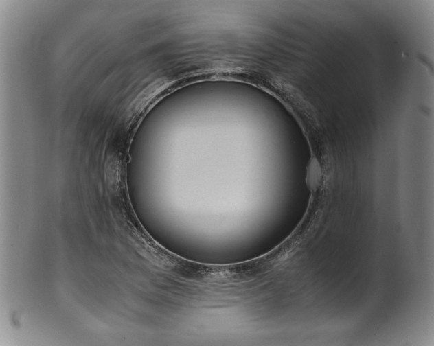 X0000102471169200808081243