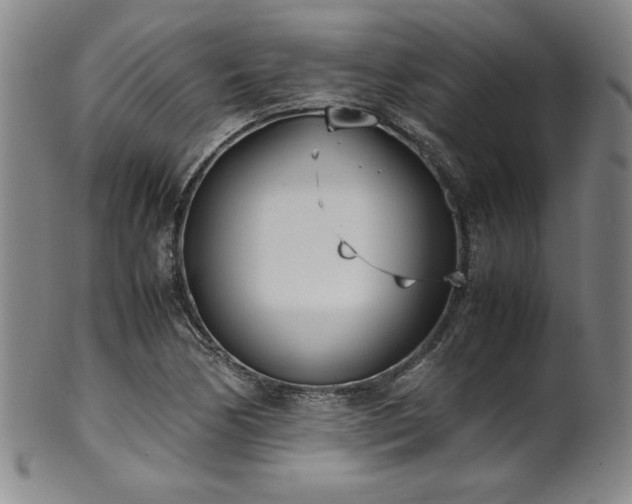 X0000102471170200808081243