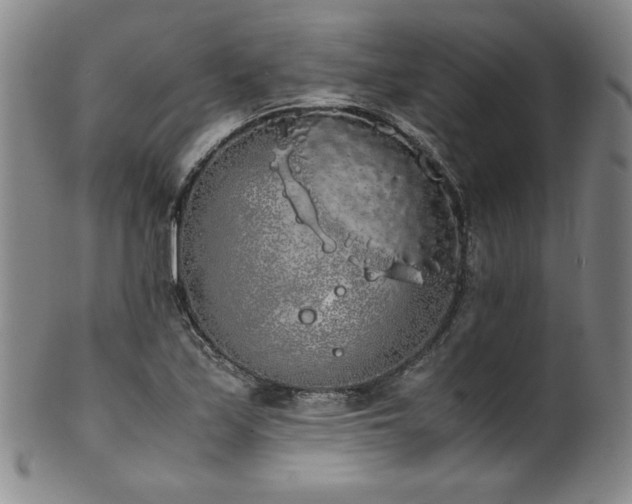 X0000102471171200808081243