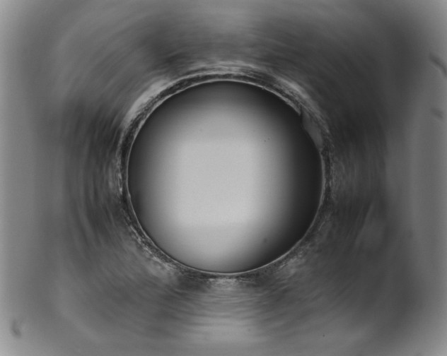 X0000102471172200808081243