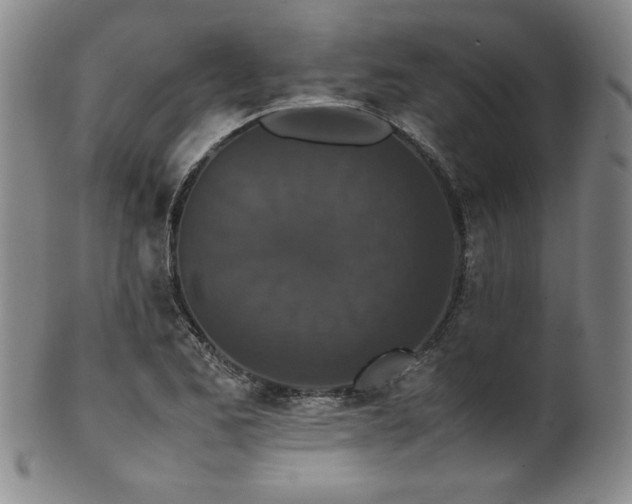X0000102471173200808081243