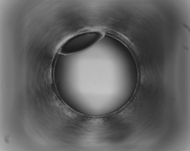 X0000102471174200808081243