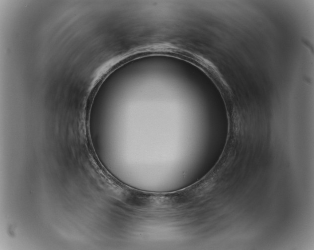 X0000102471176200808081243