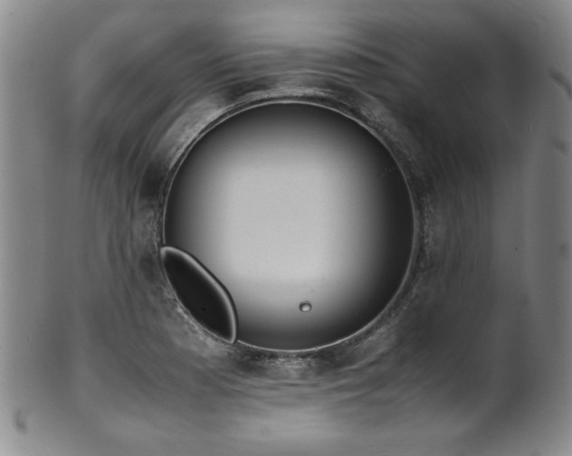 X0000102471177200808081243