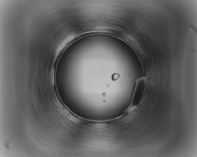 X0000102471180200808081243