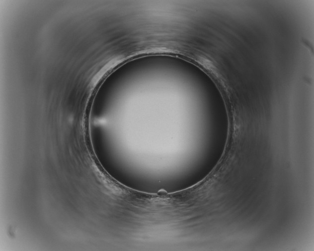 X0000102471181200808081243
