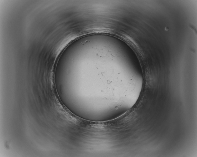 X0000102471182200808081243