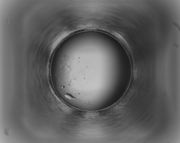 X0000102471183200808081243