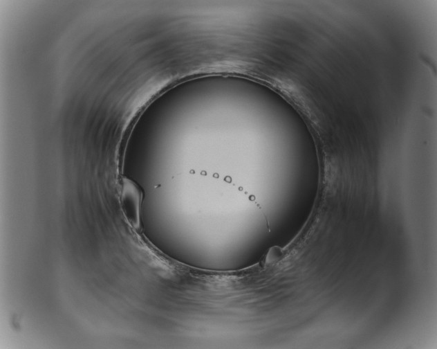 X0000102471184200808081243