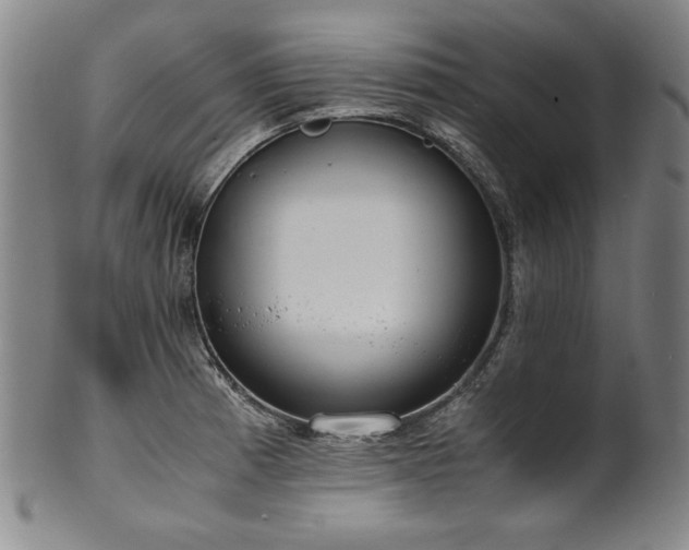 X0000102471185200808081243
