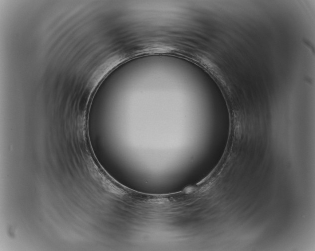 X0000102471186200808081243