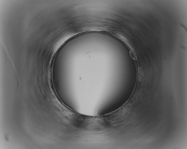 X0000102471187200808081243