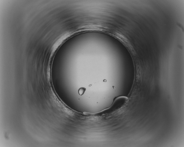 X0000102471188200808081243