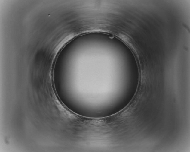 X0000102471189200808081243