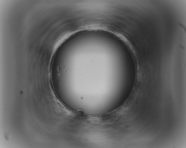 X0000102471191200808081243