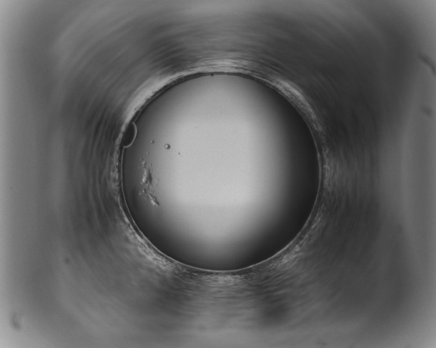 X0000102471192200808081243