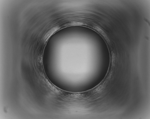 X0000102471193200808081243