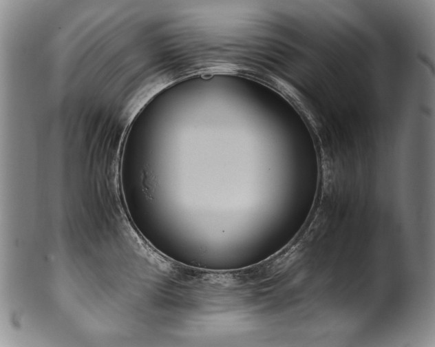X0000102471194200808081243