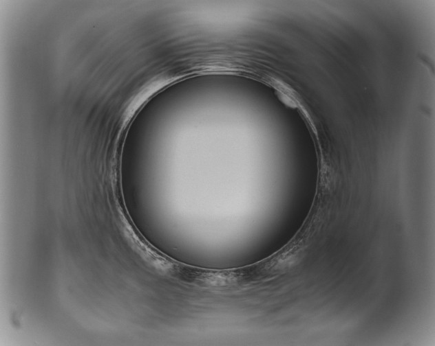 X0000102471195200808081243