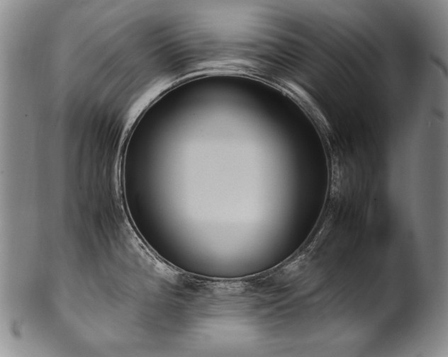 X0000102471196200808081243