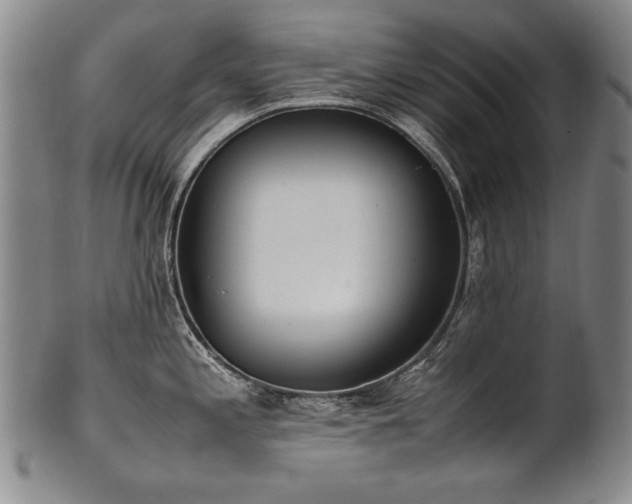 X0000102471197200808081243