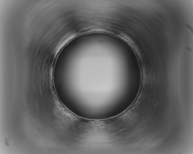 X0000102471198200808081243