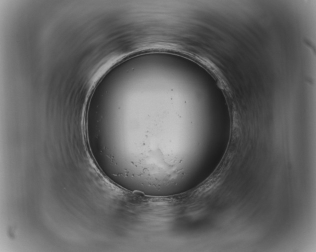 X0000102471199200808081243