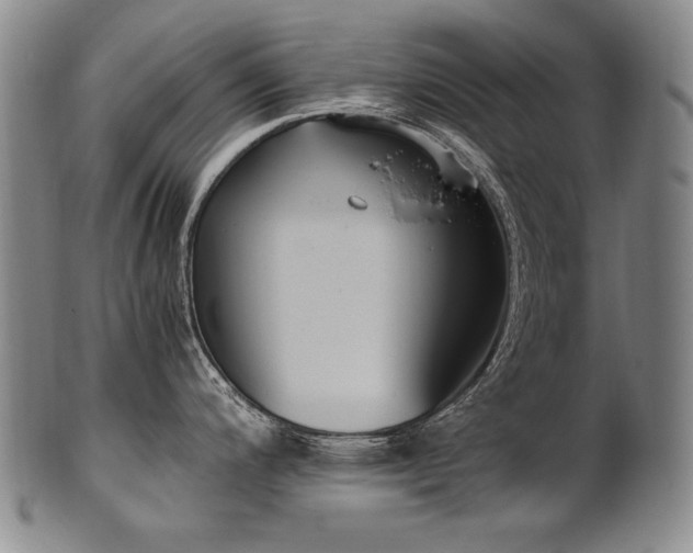 X0000102471200200808081243