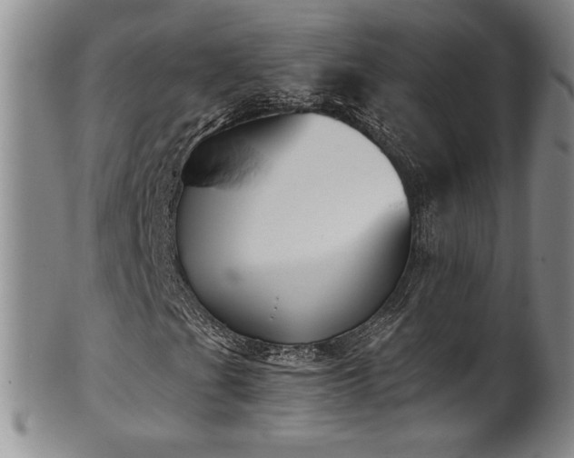 X0000102471201200808081242
