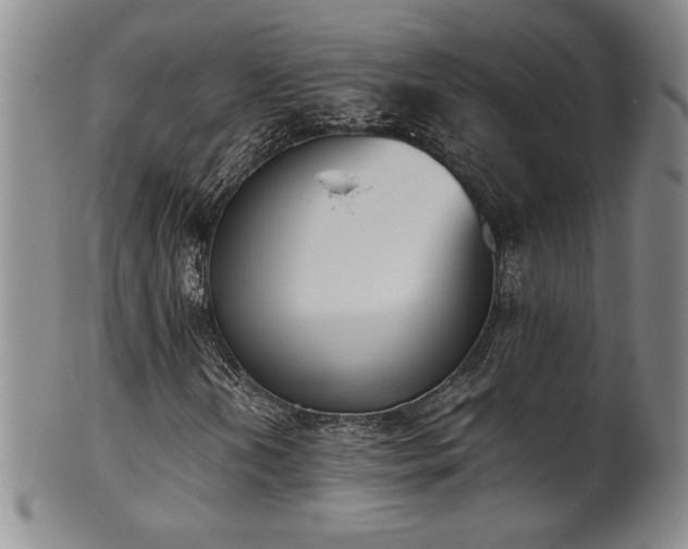 X0000102471202200808081242