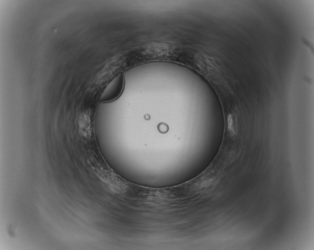 X0000102471203200808081242