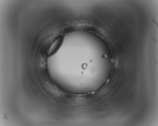 X0000102471204200808081242