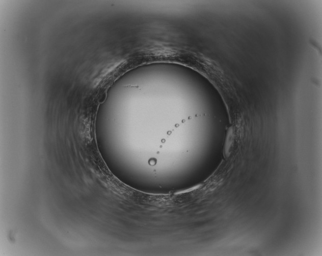 X0000102471205200808081242