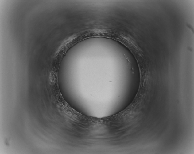 X0000102471207200808081242