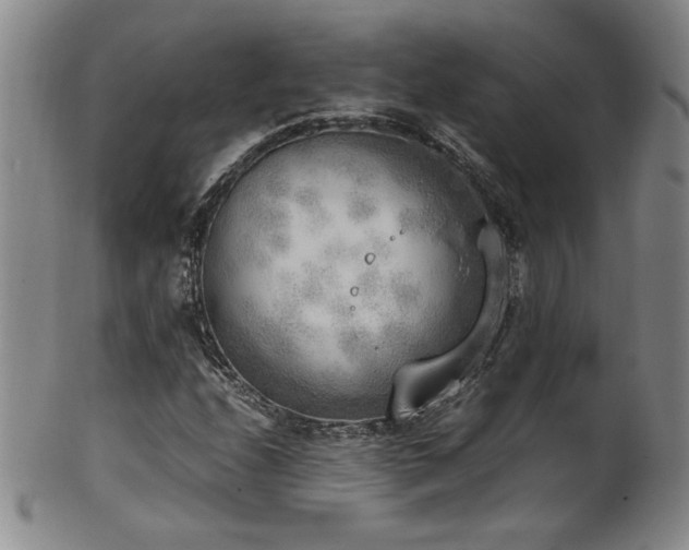 X0000102471208200808081242