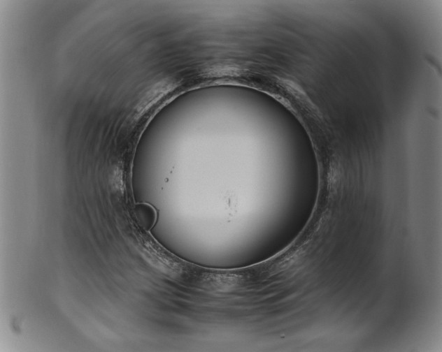 X0000102471209200808081242