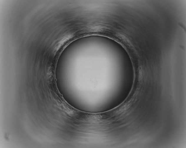 X0000102471210200808081242