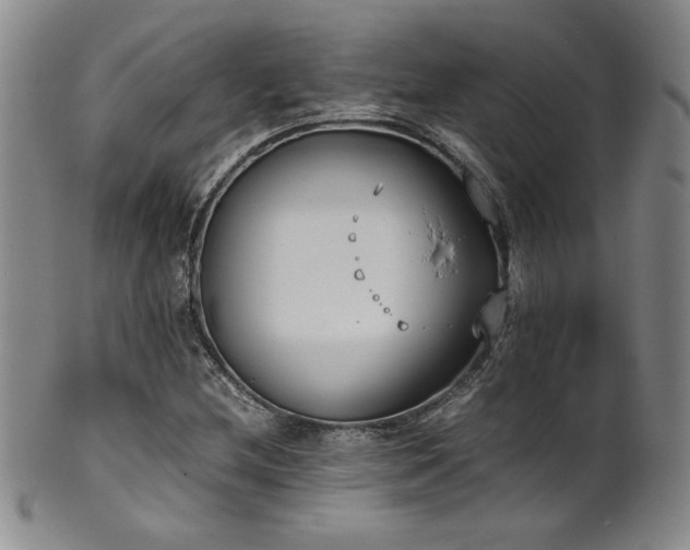 X0000102471212200808081242
