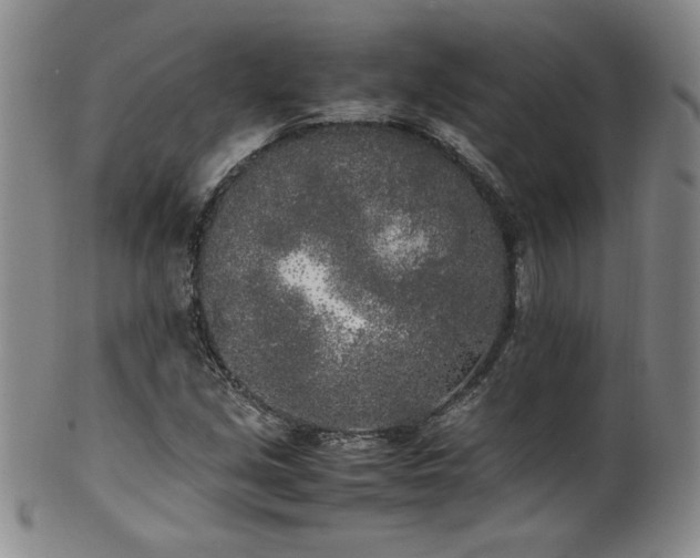 X0000102471213200808081242