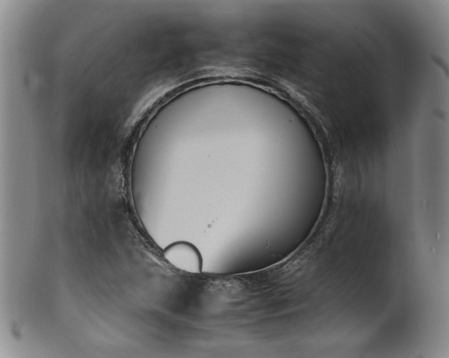 X0000102471215200808081242