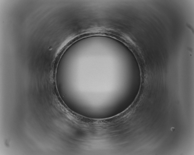 X0000102471216200808081242