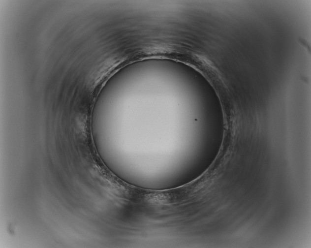 X0000102471217200808081242