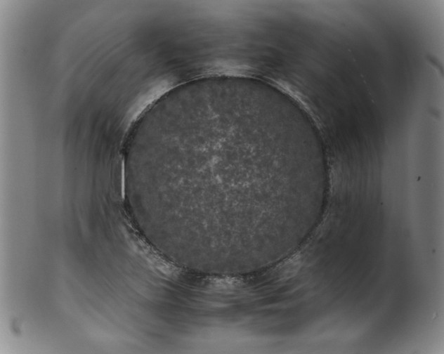 X0000102471219200808081242
