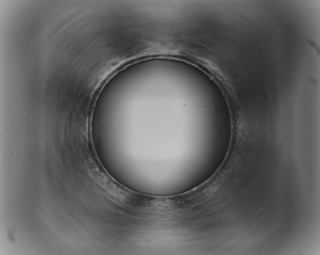 X0000102471220200808081242