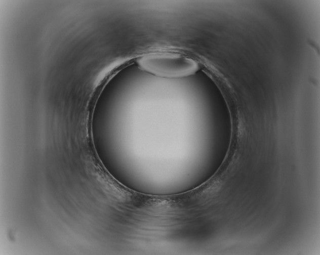 X0000102471222200808081242