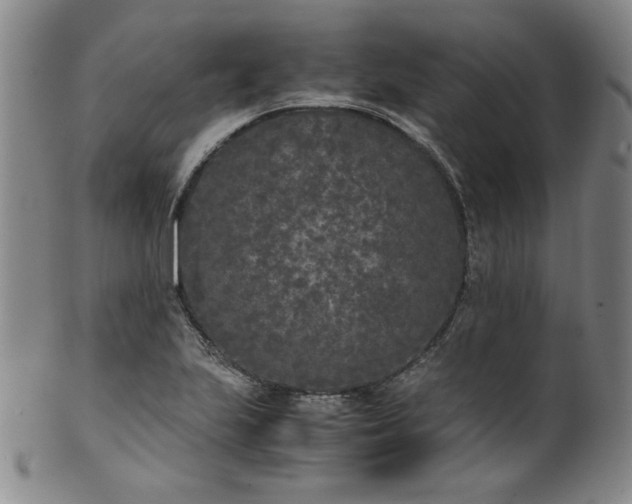 X0000102471223200808081242