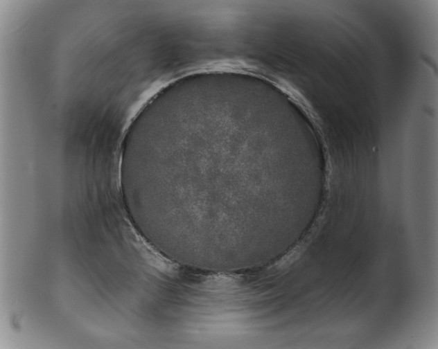 X0000102471224200808081242