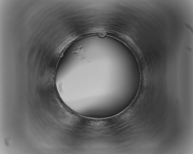 X0000102471225200808081242