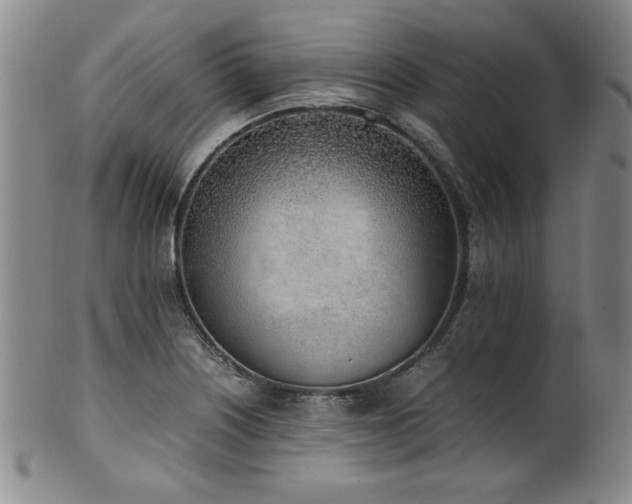 X0000102471226200808081242